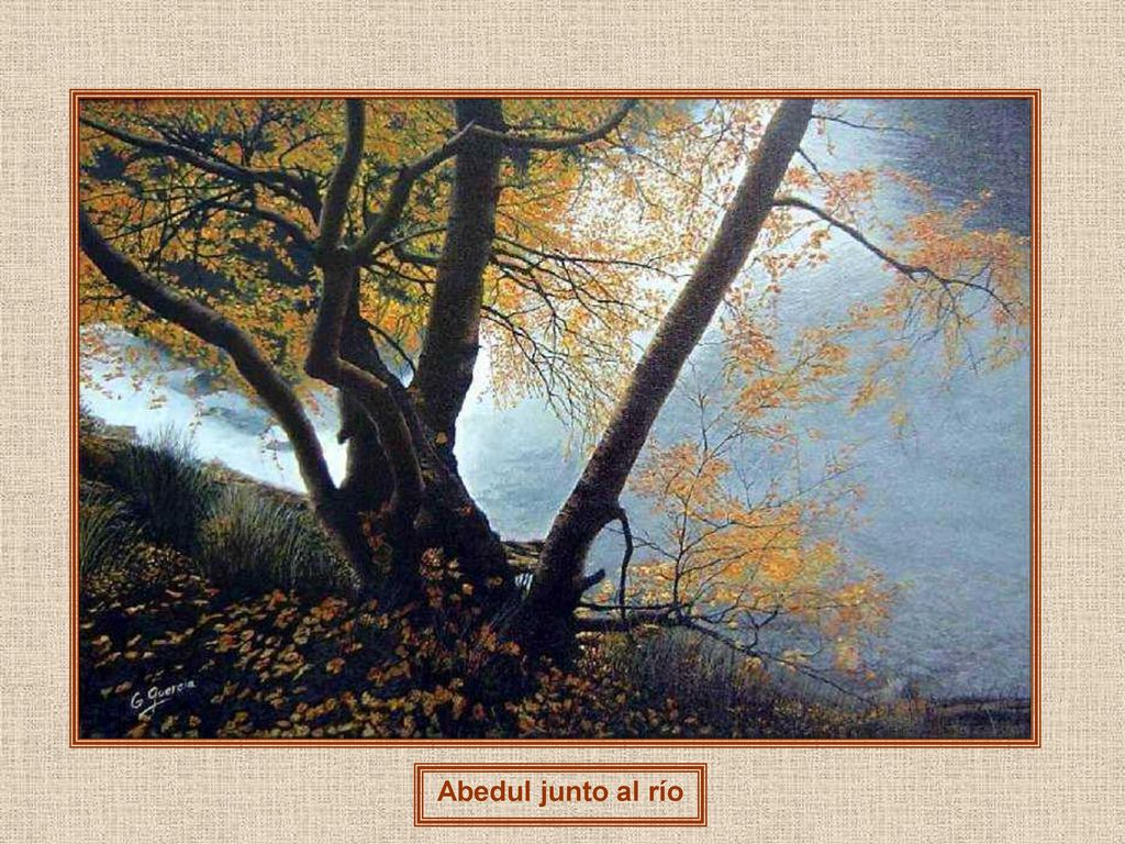 Abedul junto al río