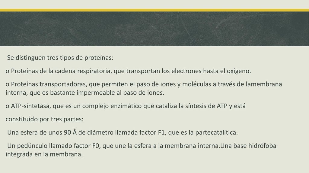 Se distinguen tres tipos de proteínas: o Proteínas de la cadena respiratoria, que transportan los electrones hasta el oxígeno.