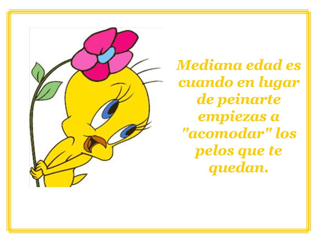 Mediana edad es cuando en lugar de peinarte empiezas a acomodar los pelos que te quedan.