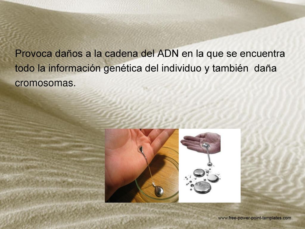 Provoca daños a la cadena del ADN en la que se encuentra todo la información genética del individuo y también daña cromosomas.