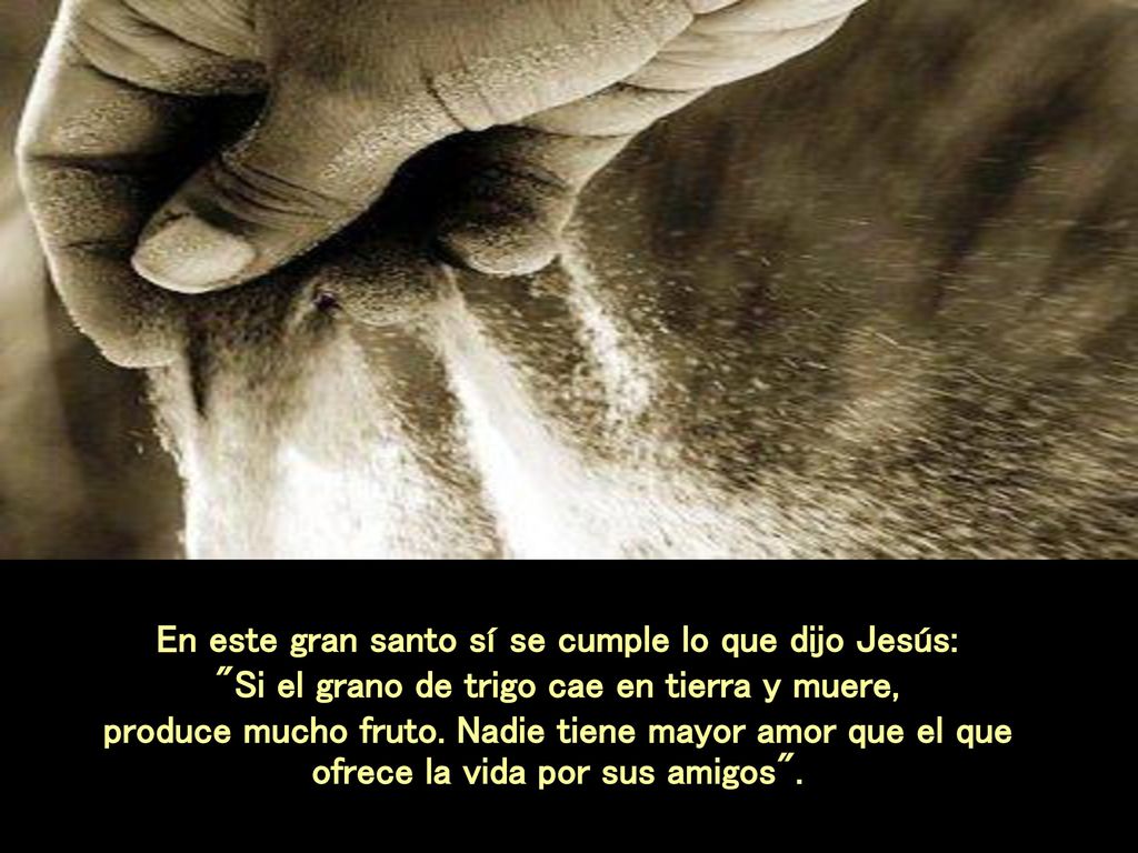 En este gran santo sí se cumple lo que dijo Jesús: Si el grano de trigo cae en tierra y muere, produce mucho fruto.