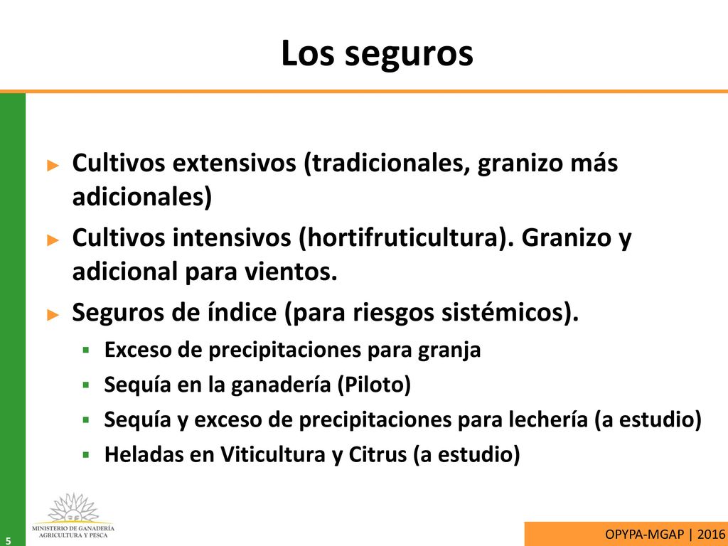 Los seguros Cultivos extensivos (tradicionales, granizo más adicionales) Cultivos intensivos (hortifruticultura). Granizo y adicional para vientos.