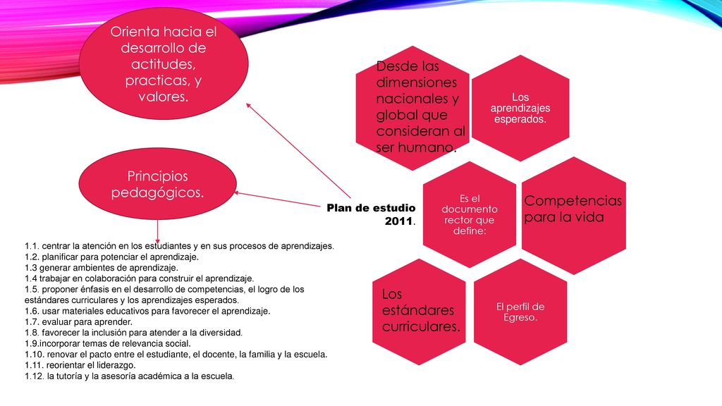 Orienta hacia el desarrollo de actitudes, practicas, y valores.