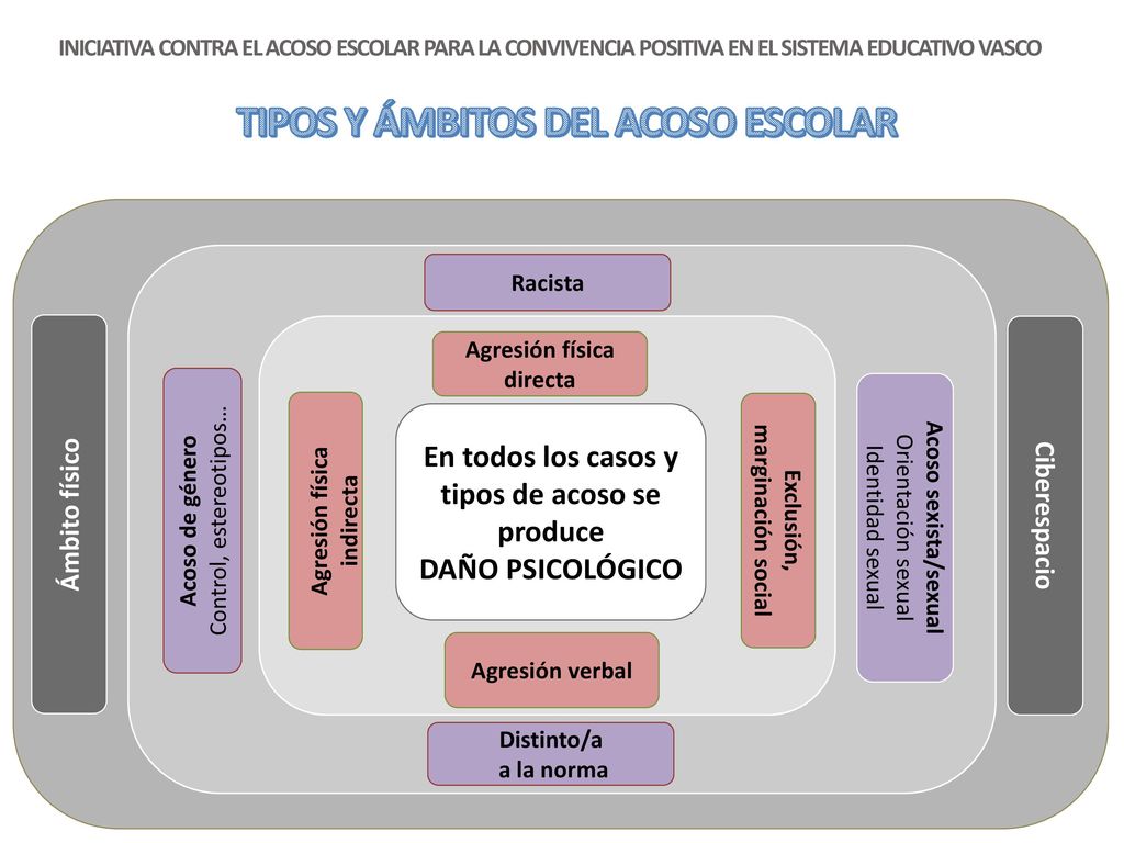 TIPOS Y ÁMBITOS DEL ACOSO ESCOLAR