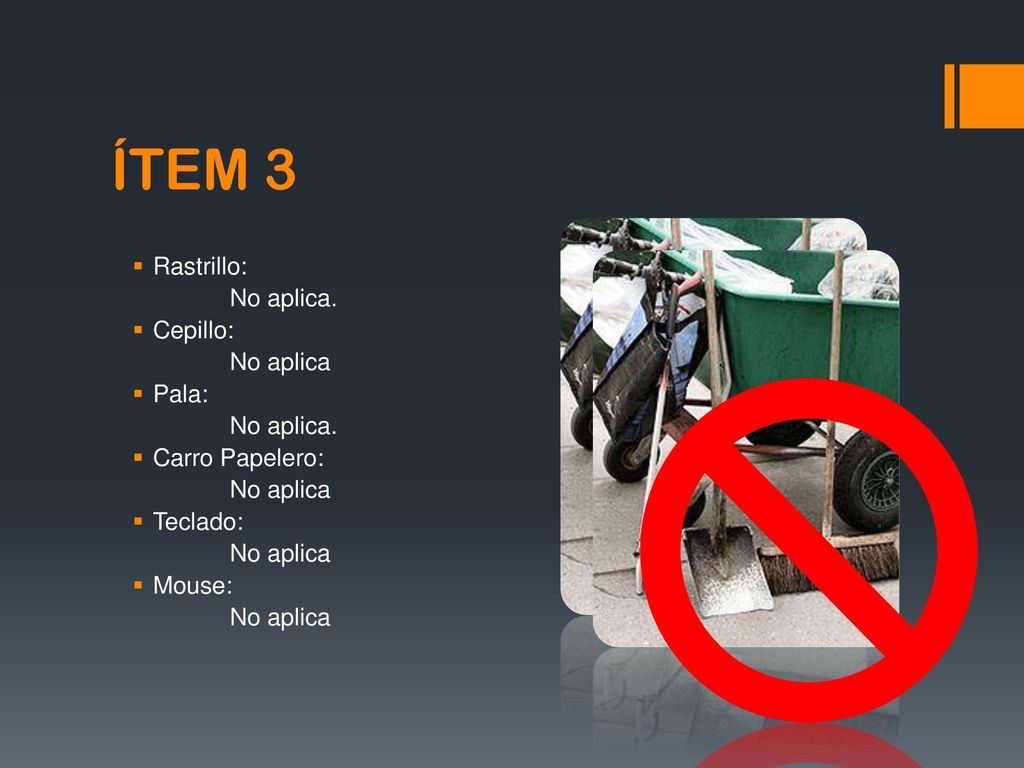 ÍTEM 3 Rastrillo: No aplica. Cepillo: No aplica Pala: Carro Papelero:
