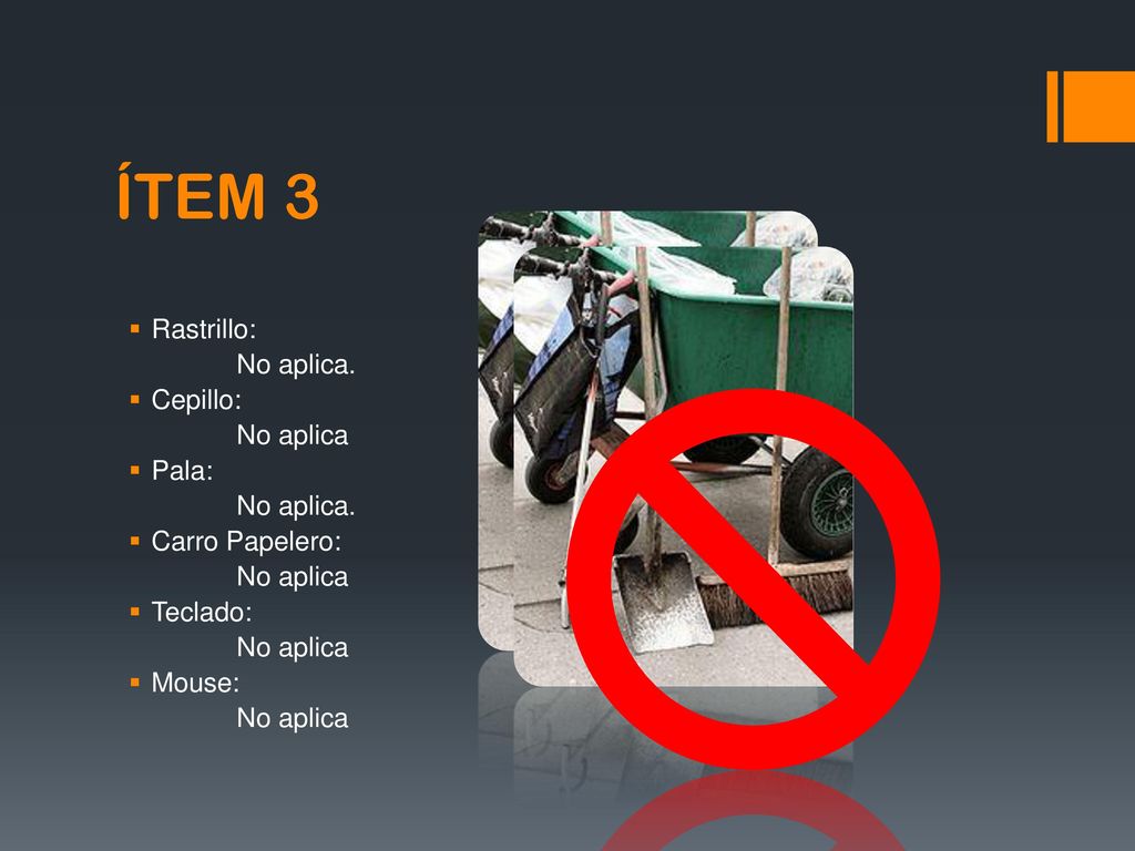 ÍTEM 3 Rastrillo: No aplica. Cepillo: No aplica Pala: Carro Papelero: