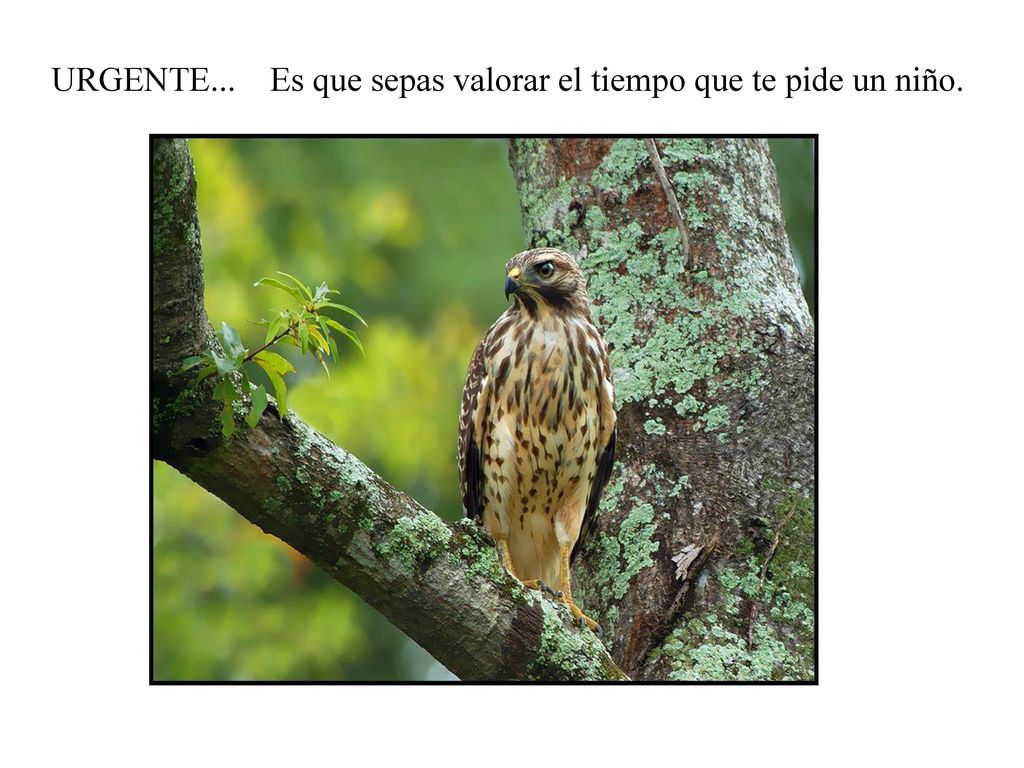 URGENTE... Es que sepas valorar el tiempo que te pide un niño.
