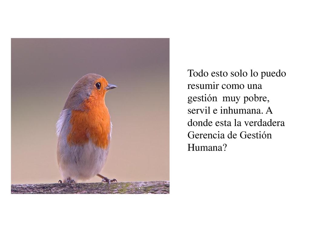 Todo esto solo lo puedo resumir como una gestión muy pobre, servil e inhumana.