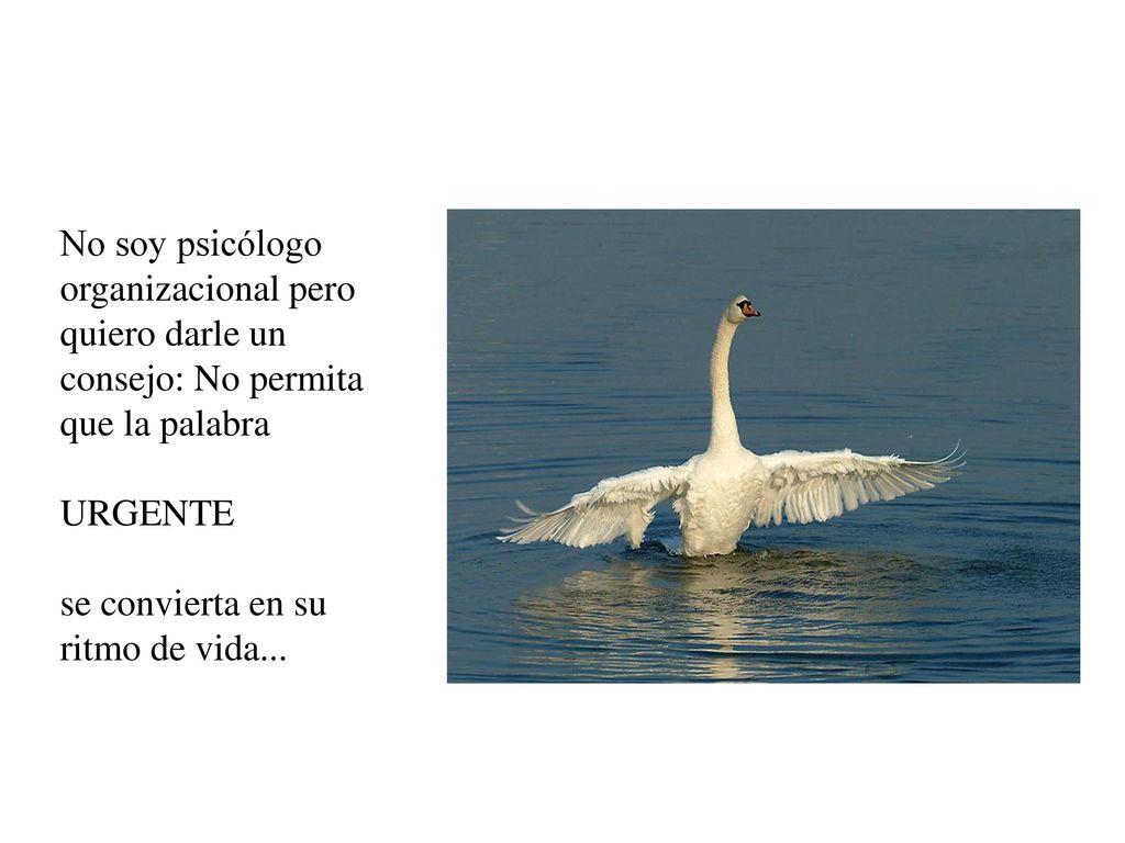 No soy psicólogo organizacional pero quiero darle un consejo: No permita que la palabra