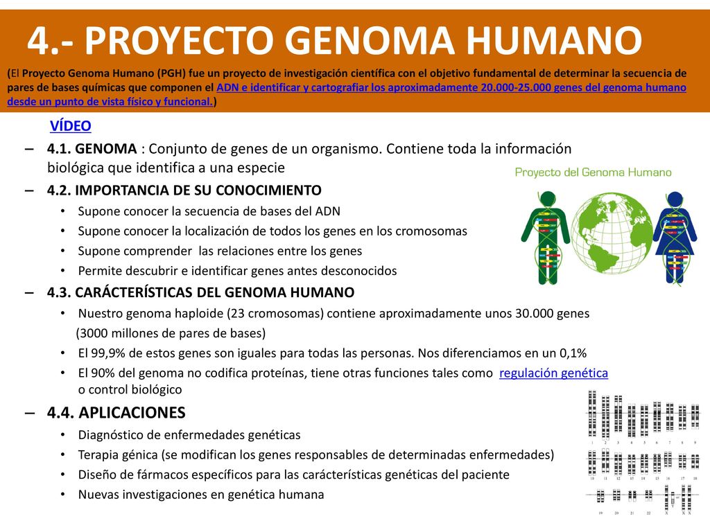 4.- PROYECTO GENOMA HUMANO (El Proyecto Genoma Humano (PGH) fue un proyecto de investigación científica con el objetivo fundamental de determinar la secuencia de pares de bases químicas que componen el ADN e identificar y cartografiar los aproximadamente genes del genoma humano desde un punto de vista físico y funcional.)