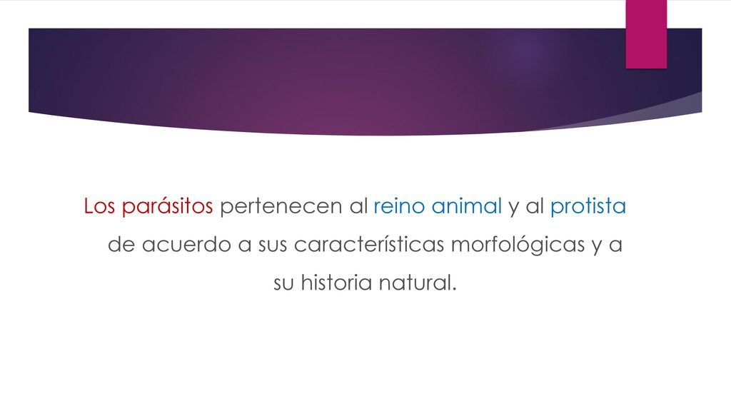 Los parásitos pertenecen al reino animal y al protista de acuerdo a sus características morfológicas y a su historia natural.