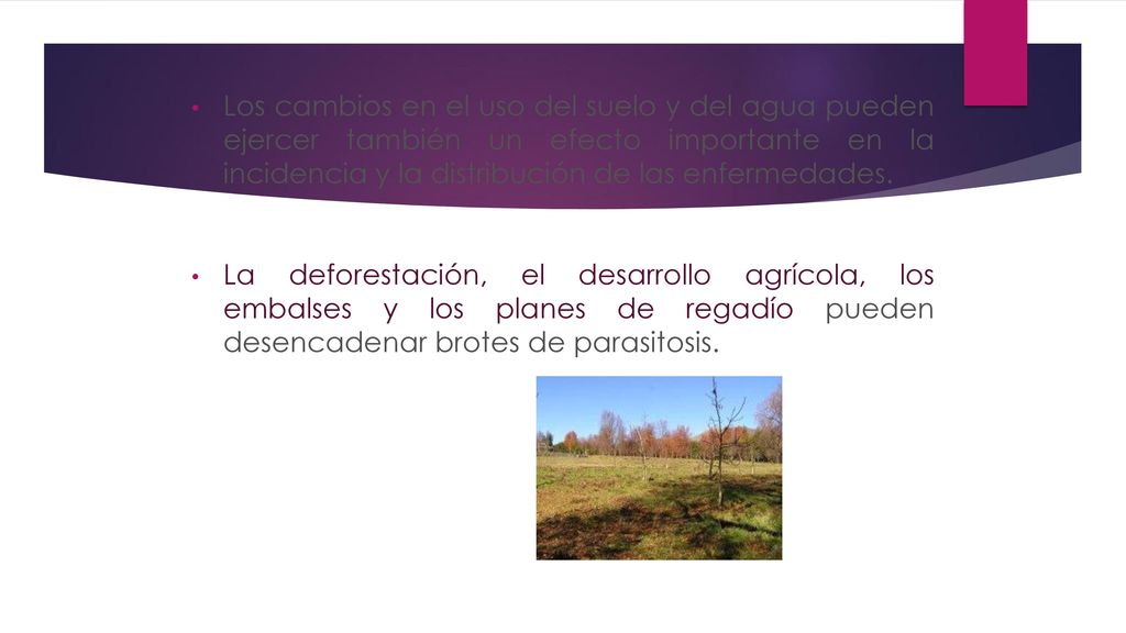 Los cambios en el uso del suelo y del agua pueden ejercer también un efecto importante en la incidencia y la distribución de las enfermedades.