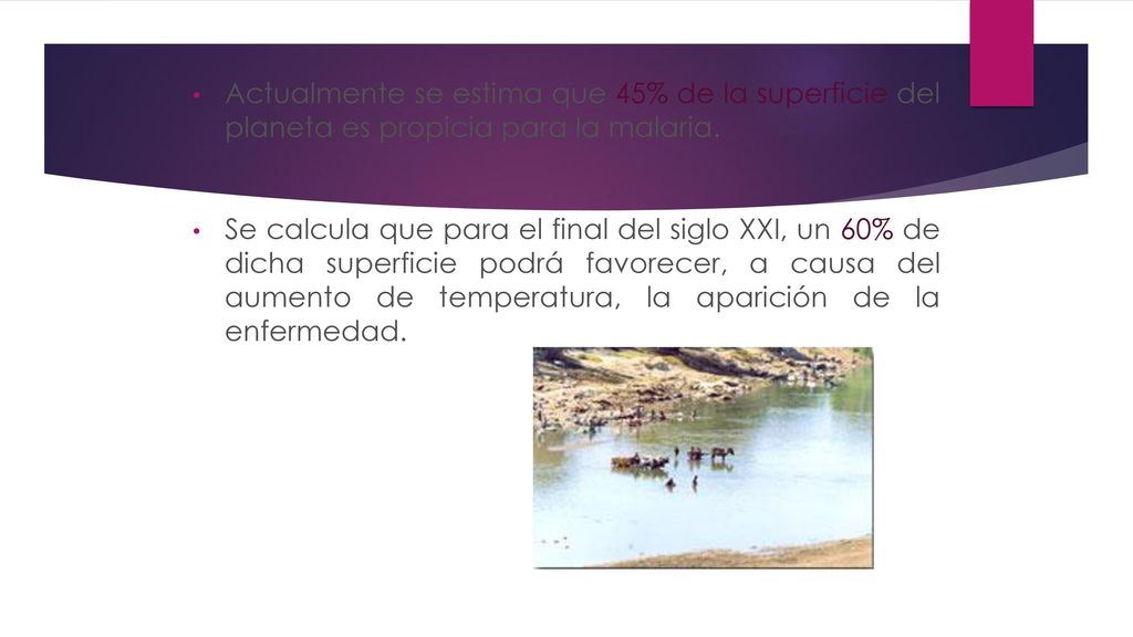 Actualmente se estima que 45% de la superficie del planeta es propicia para la malaria.