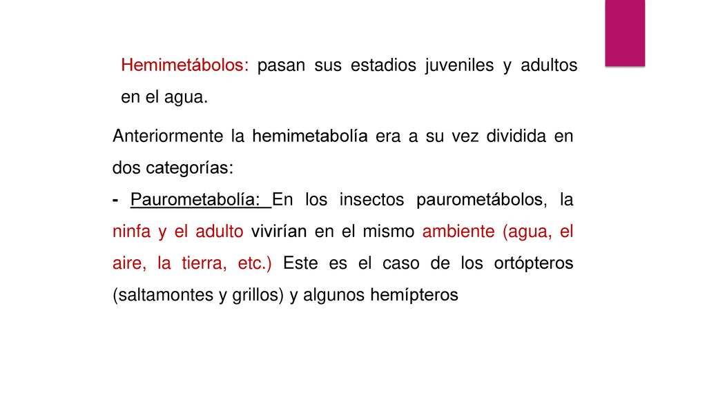 Hemimetábolos: pasan sus estadios juveniles y adultos en el agua.