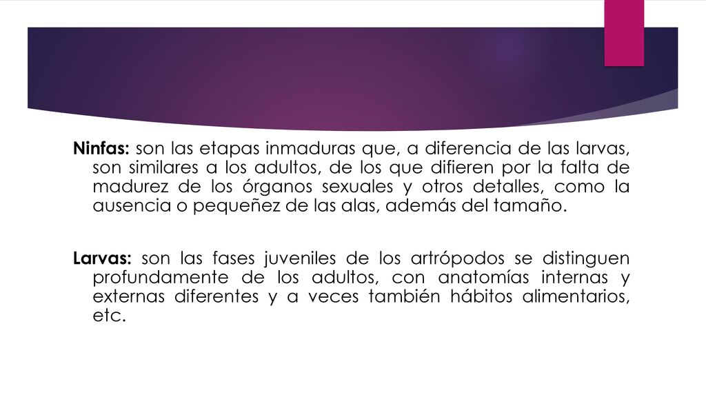 Ninfas: son las etapas inmaduras que, a diferencia de las larvas, son similares a los adultos, de los que difieren por la falta de madurez de los órganos sexuales y otros detalles, como la ausencia o pequeñez de las alas, además del tamaño.