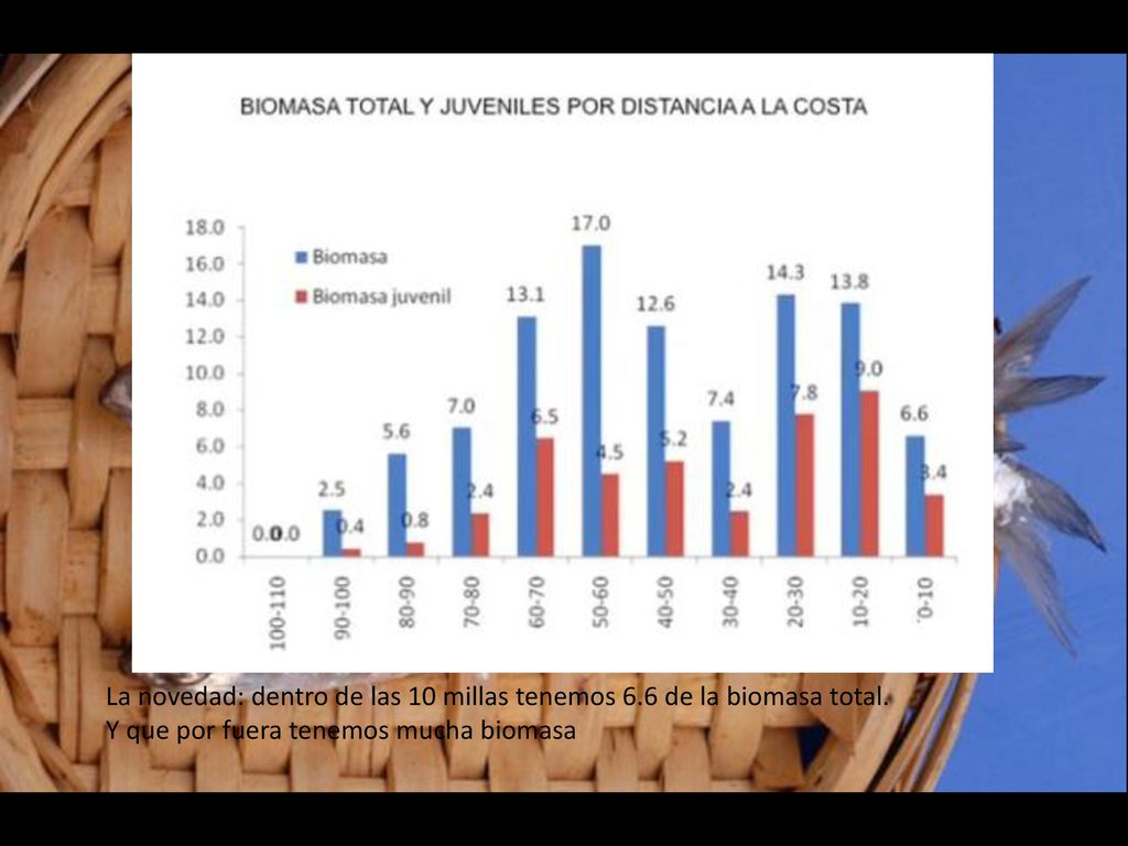 La novedad: dentro de las 10 millas tenemos 6. 6 de la biomasa total