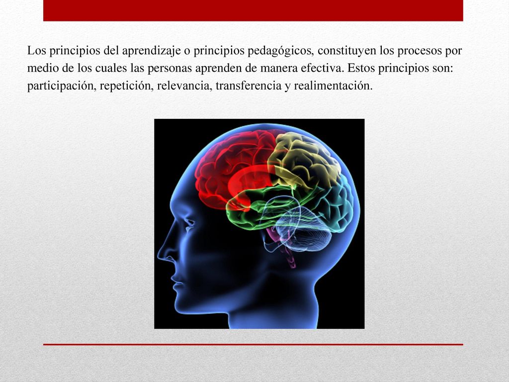 Los principios del aprendizaje o principios pedagógicos, constituyen los procesos por medio de los cuales las personas aprenden de manera efectiva.