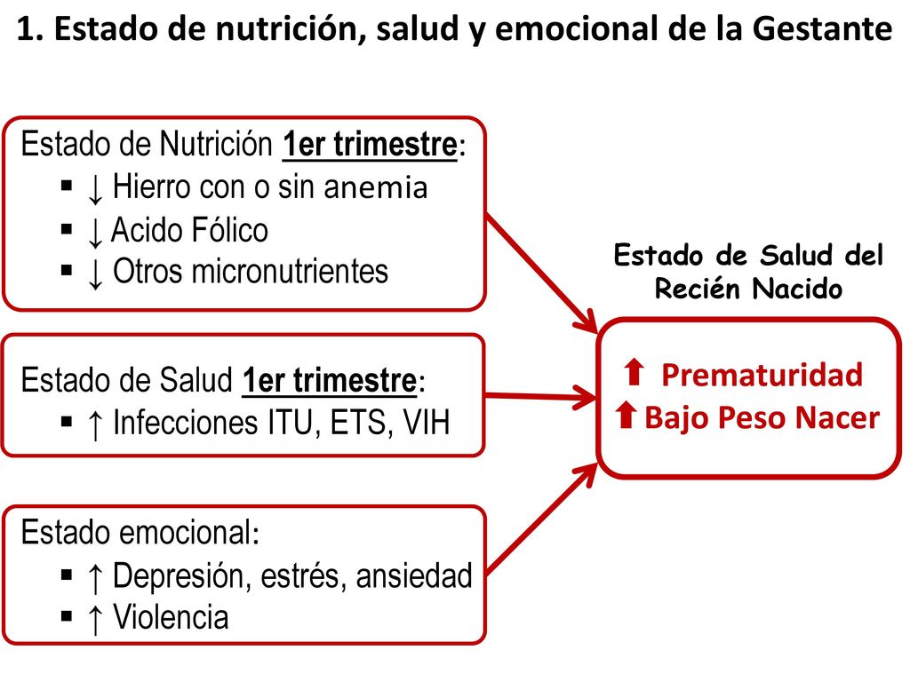 1. Estado de nutrición, salud y emocional de la Gestante