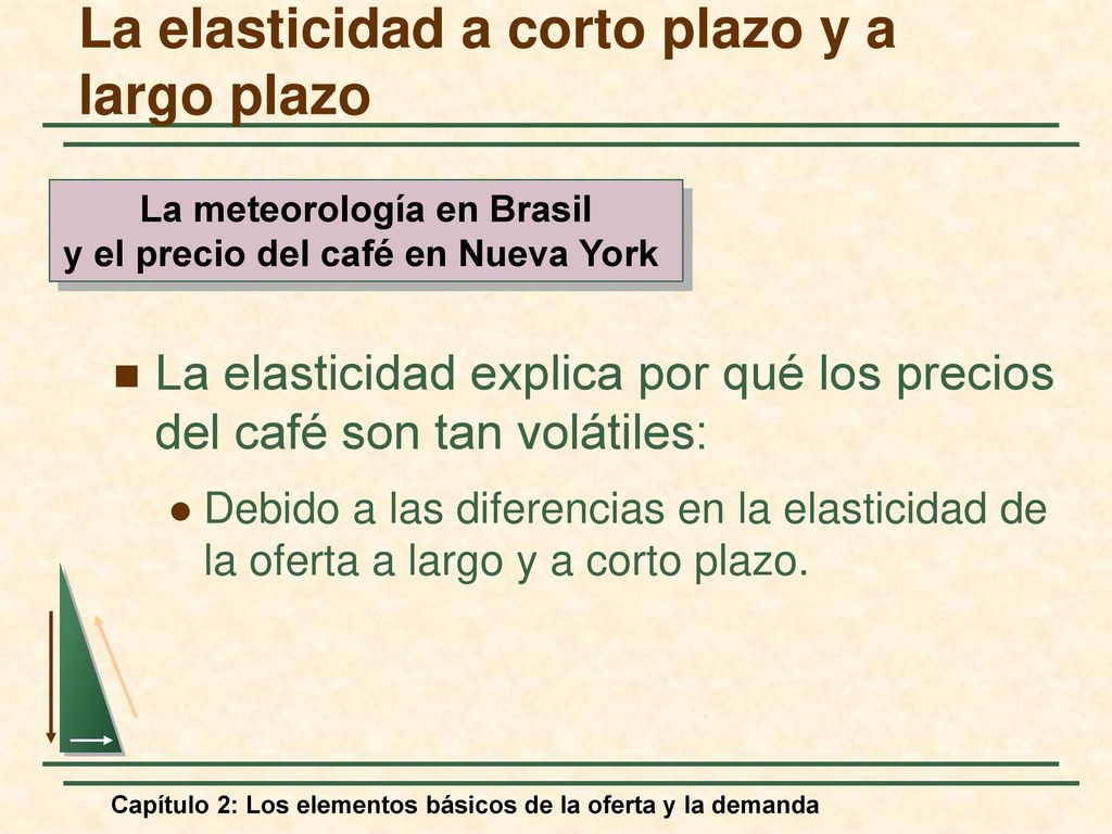 La elasticidad a corto plazo y a largo plazo
