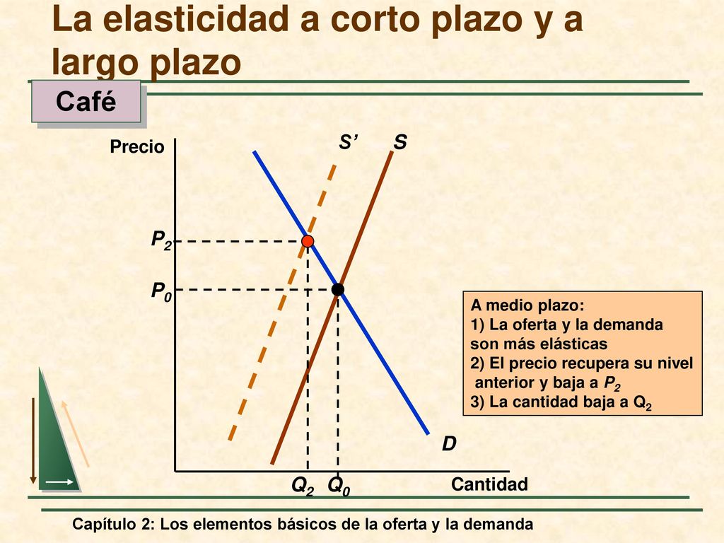 La elasticidad a corto plazo y a largo plazo