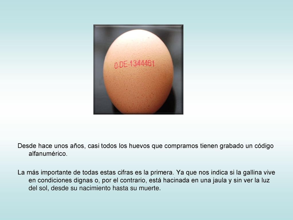 Desde hace unos años, casi todos los huevos que compramos tienen grabado un código alfanumérico.