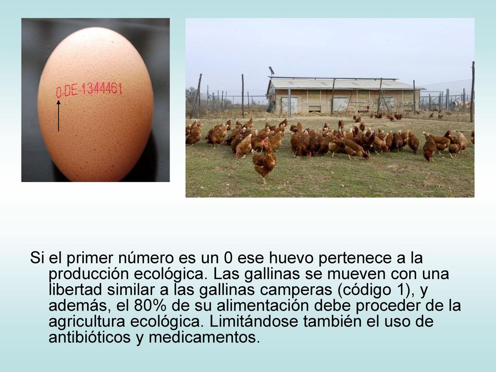 Si el primer número es un 0 ese huevo pertenece a la producción ecológica.