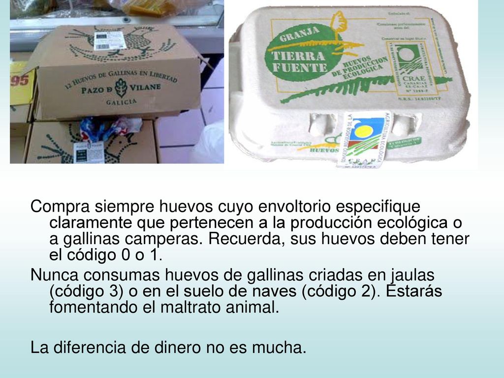Compra siempre huevos cuyo envoltorio especifique claramente que pertenecen a la producción ecológica o a gallinas camperas. Recuerda, sus huevos deben tener el código 0 o 1.
