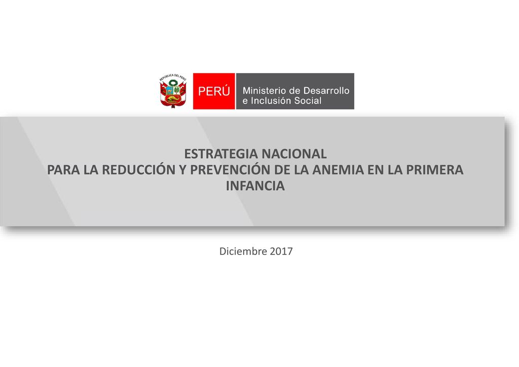 ESTRATEGIA NACIONAL PARA LA REDUCCIÓN Y PREVENCIÓN DE LA ANEMIA EN LA PRIMERA INFANCIA