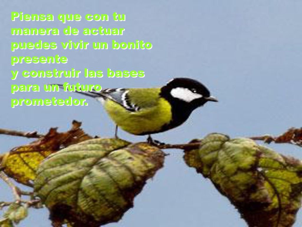 Piensa que con tu manera de actuar puedes vivir un bonito presente