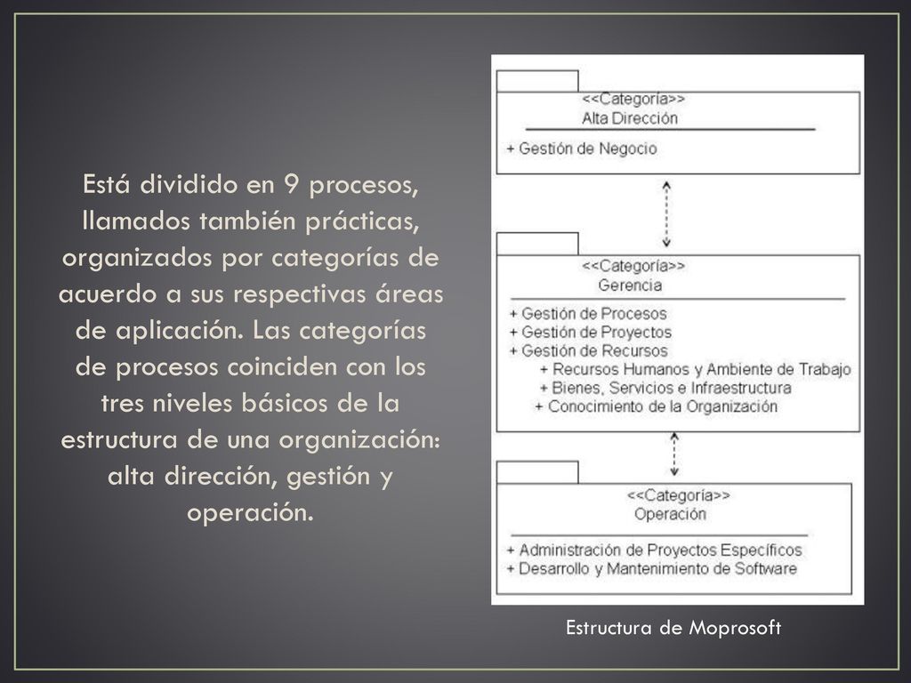 Está dividido en 9 procesos, llamados también prácticas, organizados por categorías de acuerdo a sus respectivas áreas de aplicación. Las categorías de procesos coinciden con los tres niveles básicos de la estructura de una organización: alta dirección, gestión y operación.