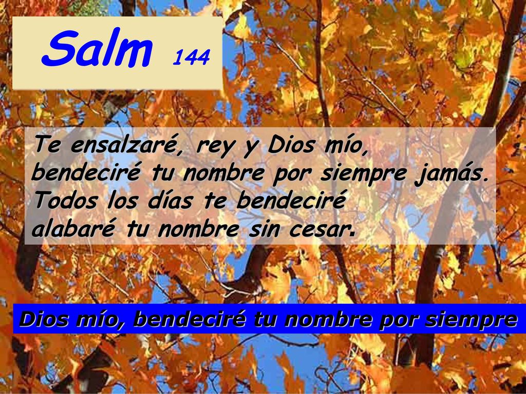 Salm 144 Te ensalzaré, rey y Dios mío, bendeciré tu nombre por siempre jamás. Todos los días te bendeciré alabaré tu nombre sin cesar.