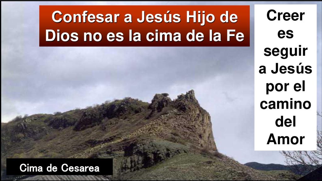 Confesar a Jesús Hijo de Dios no es la cima de la Fe