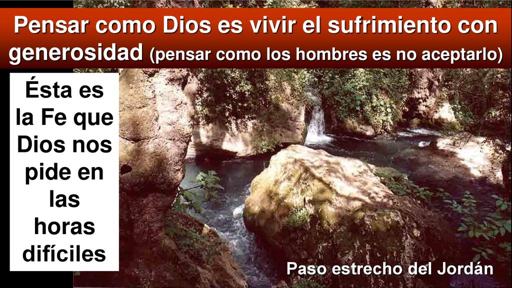 Ésta es la Fe que Dios nos pide en las horas difíciles