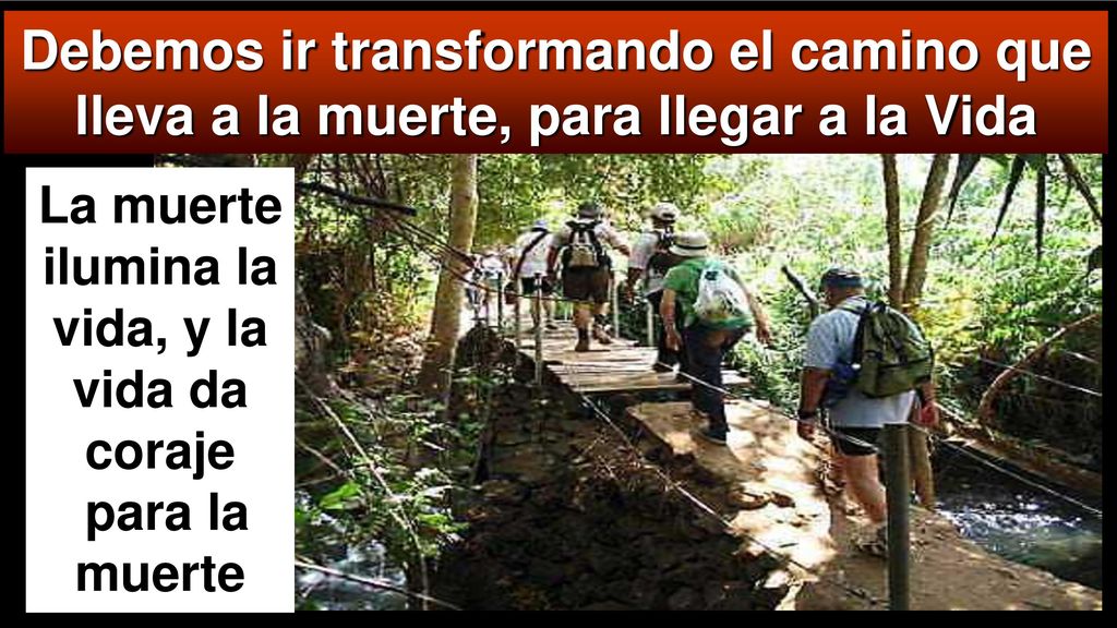 La muerte ilumina la vida, y la vida da coraje