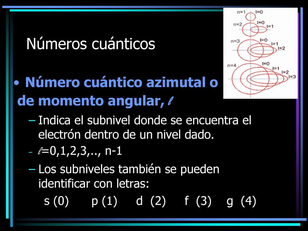Números cuánticos Número cuántico azimutal o de momento angular, l