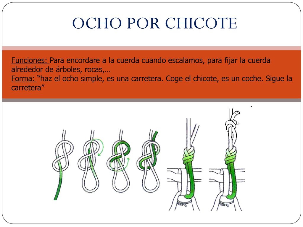 OCHO POR CHICOTE Funciones: Para encordare a la cuerda cuando escalamos, para fijar la cuerda alrededor de árboles, rocas,…