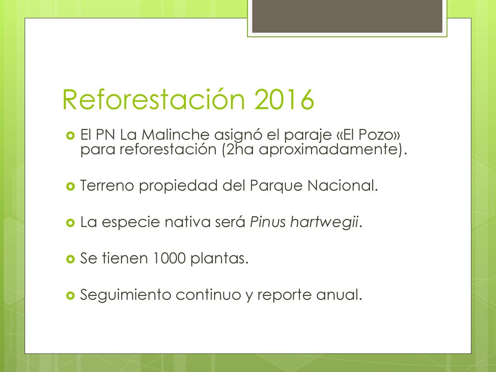 Reforestación 2016 El PN La Malinche asignó el paraje «El Pozo» para reforestación (2ha aproximadamente).