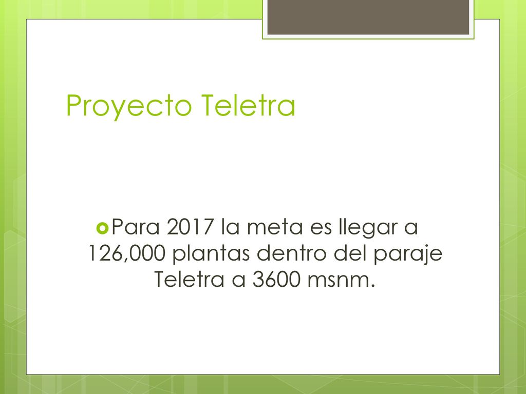 Proyecto Teletra Para 2017 la meta es llegar a 126,000 plantas dentro del paraje Teletra a 3600 msnm.