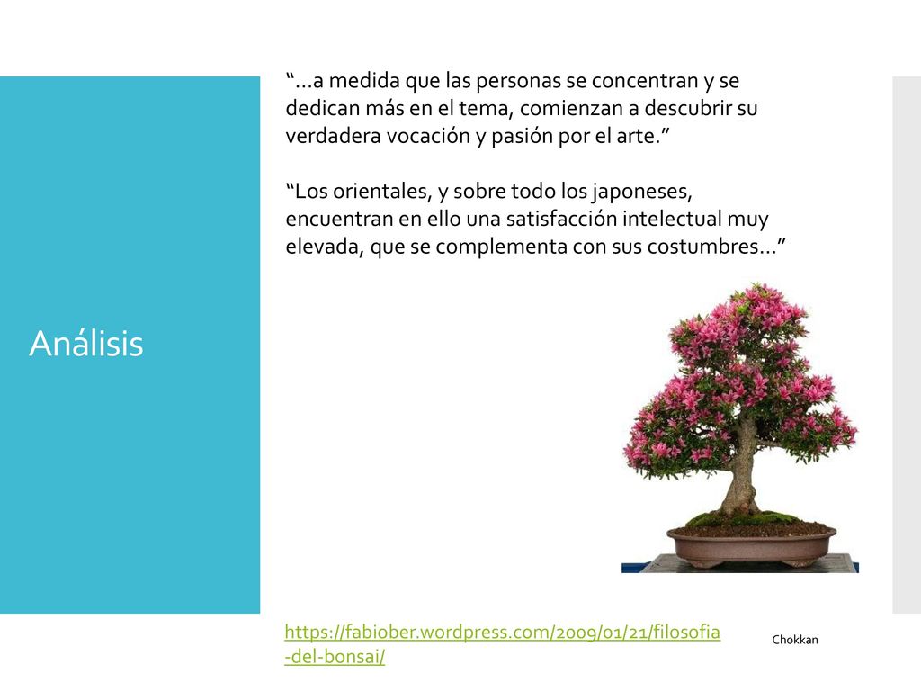 …a medida que las personas se concentran y se dedican más en el tema, comienzan a descubrir su verdadera vocación y pasión por el arte.