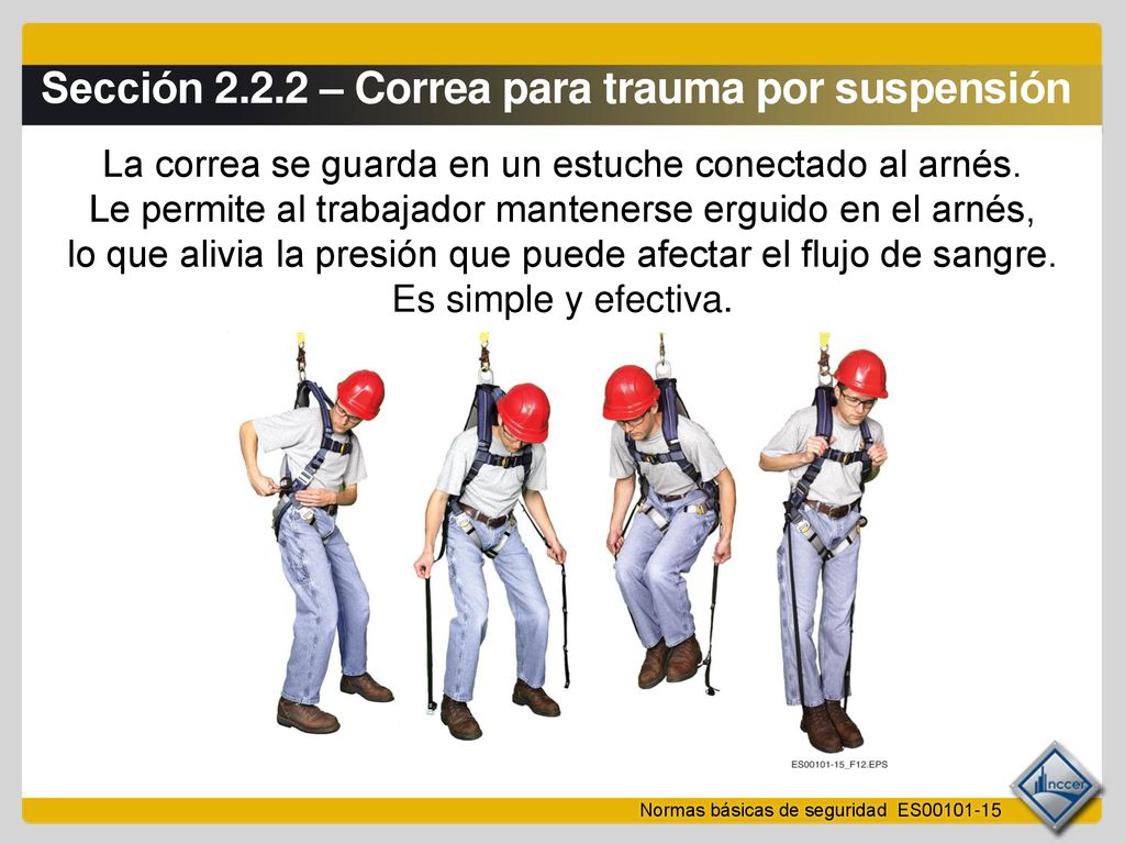 Sección – Correa para trauma por suspensión