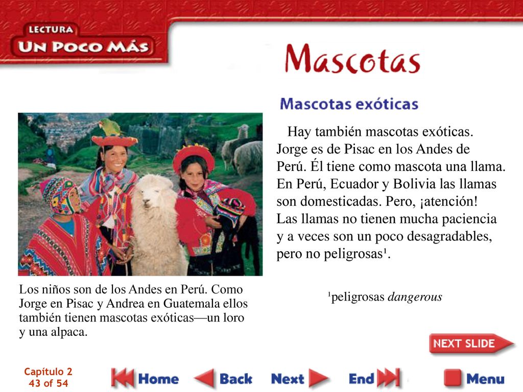 Hay también mascotas exóticas. Jorge es de Pisac en los Andes de