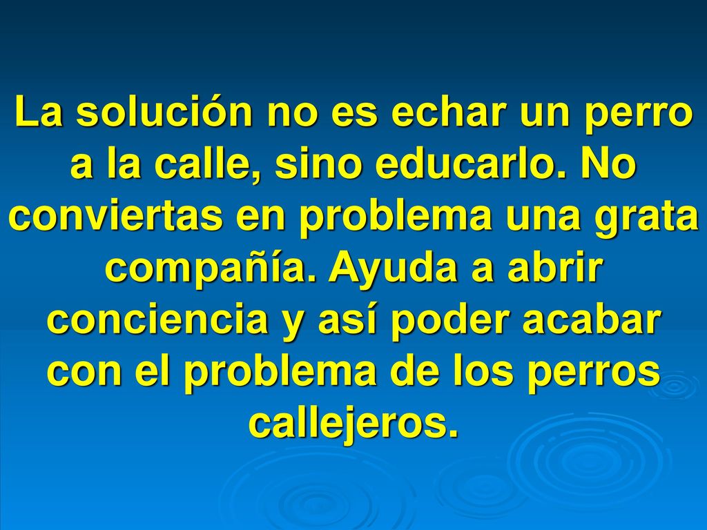 La solución no es echar un perro a la calle, sino educarlo