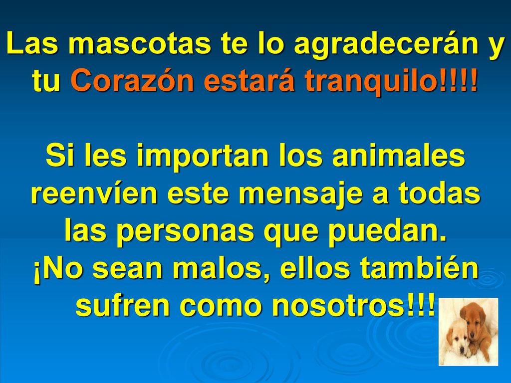 Las mascotas te lo agradecerán y tu Corazón estará tranquilo