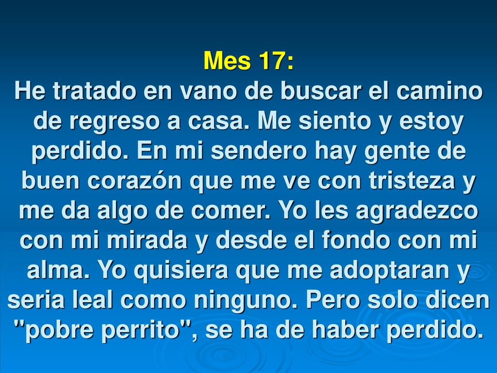 Mes 17: He tratado en vano de buscar el camino de regreso a casa