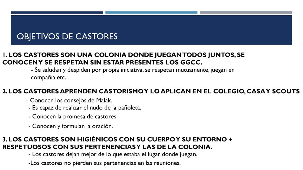 Objetivos de castores 1. LOS CASTORES SON UNA COLONIA DONDE JUEGAN TODOS JUNTOS, SE CONOCEN Y SE RESPETAN SIN ESTAR PRESENTES LOS GGCC.