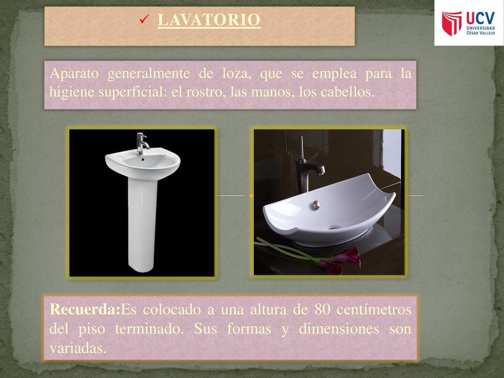 LAVATORIO Aparato generalmente de loza, que se emplea para la higiene superficial: el rostro, las manos, los cabellos.