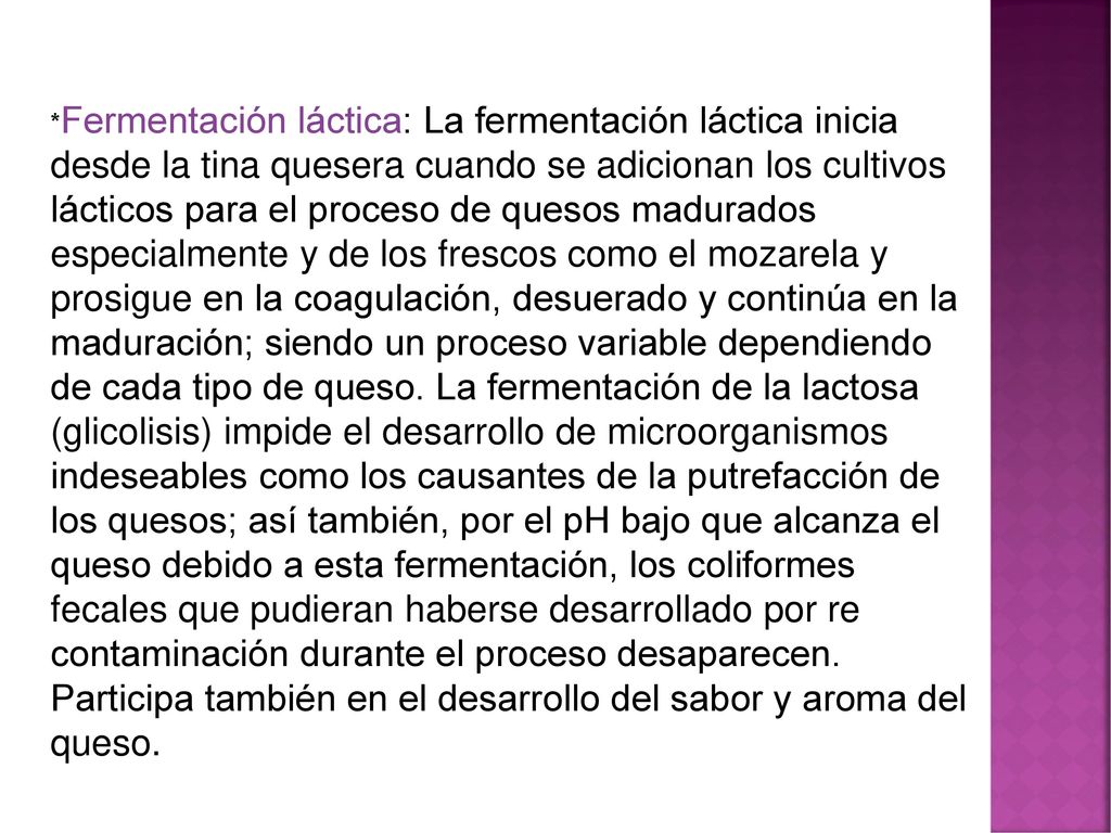 *Fermentación láctica: La fermentación láctica inicia desde la tina quesera cuando se adicionan los cultivos lácticos para el proceso de quesos madurados especialmente y de los frescos como el mozarela y prosigue en la coagulación, desuerado y continúa en la maduración; siendo un proceso variable dependiendo de cada tipo de queso.