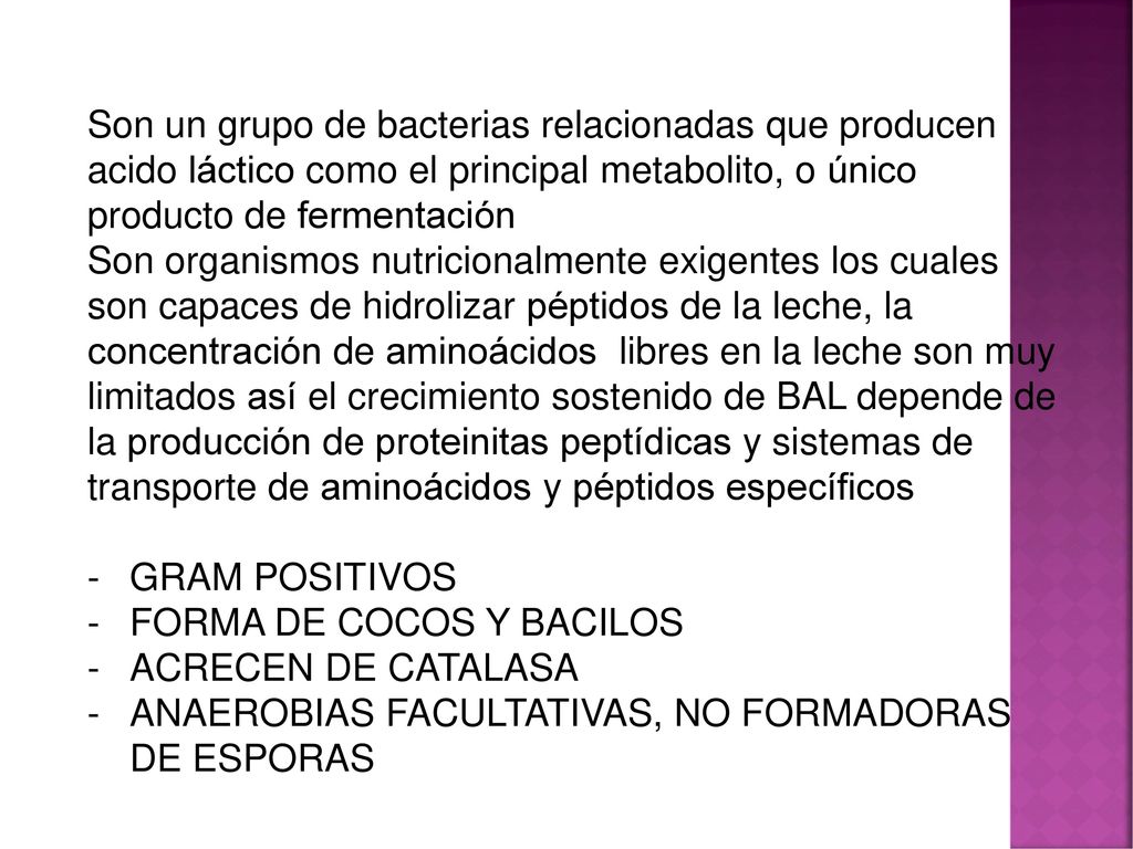 Son un grupo de bacterias relacionadas que producen acido láctico como el principal metabolito, o único producto de fermentación