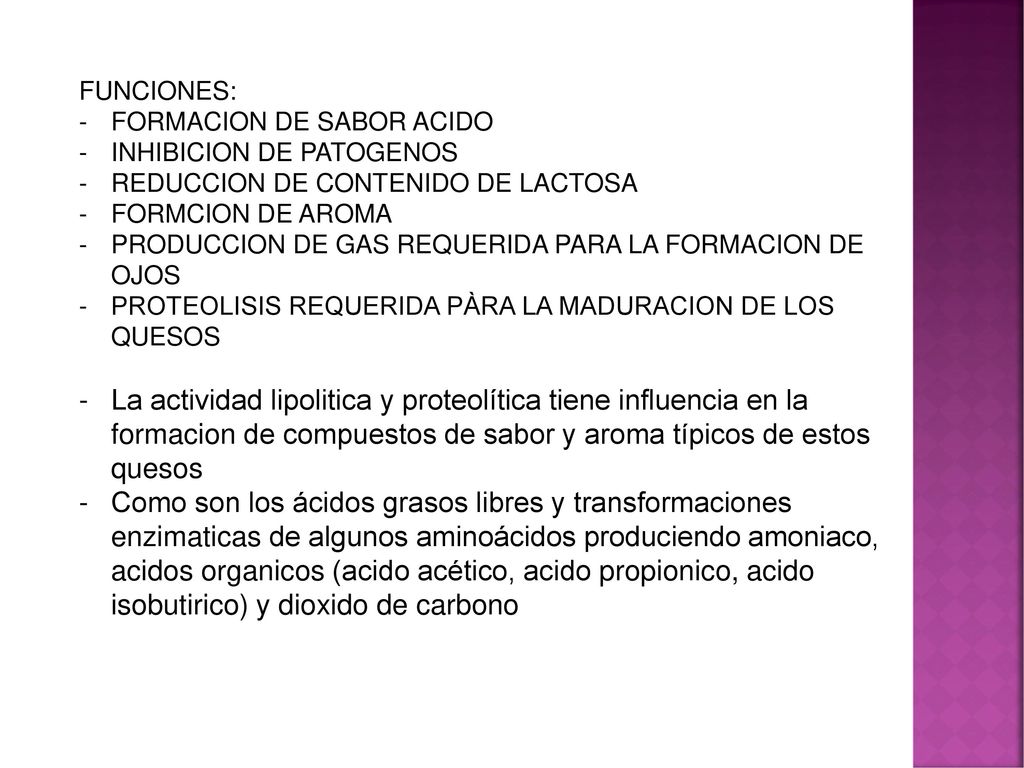 FUNCIONES: FORMACION DE SABOR ACIDO. INHIBICION DE PATOGENOS. REDUCCION DE CONTENIDO DE LACTOSA. FORMCION DE AROMA.
