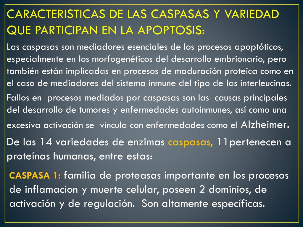 CARACTERISTICAS DE LAS CASPASAS Y VARIEDAD QUE PARTICIPAN EN LA APOPTOSIS: